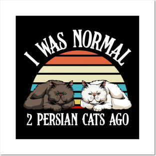 Persian Cat - I Was Normal 2 Persian Cats Ago - Cat Lover Saying Posters and Art